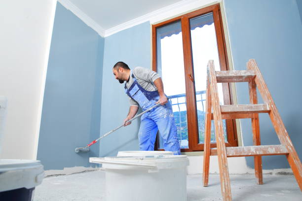 Best Mold Damage Restoration  in Ypsilanti, MI