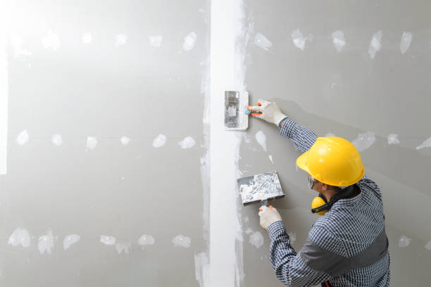 Best Air Quality Testing for Mold Spores  in Ypsilanti, MI