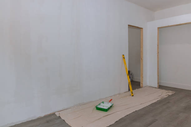 Best Environmental Consulting for Mold Prevention  in Ypsilanti, MI
