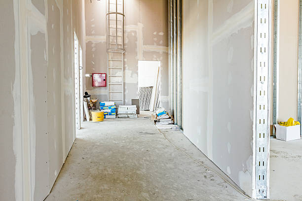Best HVAC Mold Inspection and Cleaning  in Ypsilanti, MI