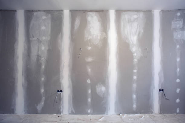 Best Forensic Mold Investigation  in Ypsilanti, MI
